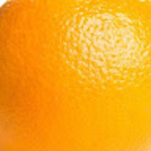 Meet your Posher, Sophie